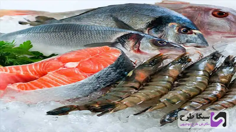 درآمد بسته بندی ماهی