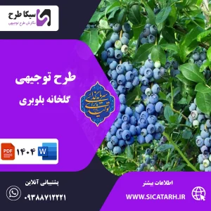 بلوبری