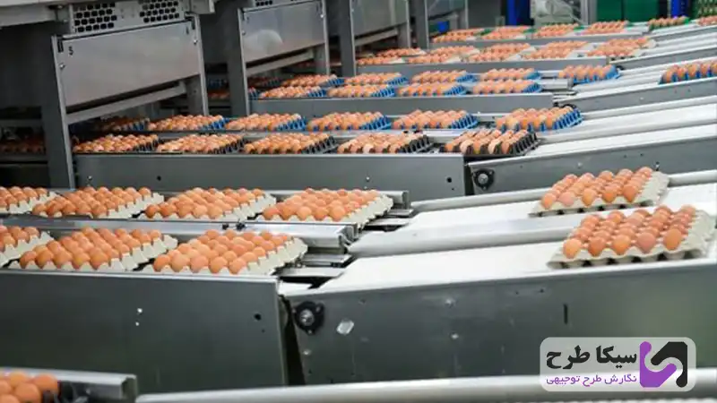 قیمت تخم مرغ
